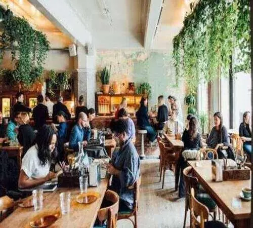 A plant-filled café with a full room of customers at midday